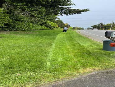 Photos by Landscaping & Gardening Services #12