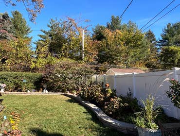 Photos by American Pride Tree Experts & Landscaping Inc #66