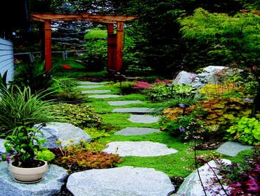 Landscape Design