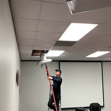 United Air Duct Cleaning and Restoration Services