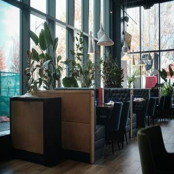 Coolvu of Addison - Commercial & Home Window Tint
