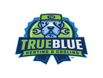 Photos by True Blue Heating and Cooling #1