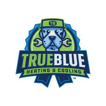 Photos by True Blue Heating and Cooling #1
