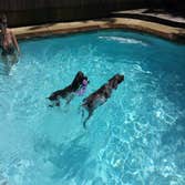 Photo(s) from The Pool Doctors