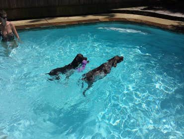 Photo(s) from The Pool Doctors