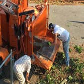 Bronx Tree Pro - Tree Removal, Cutting & Trimming Service