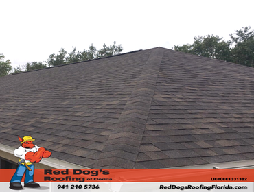 Photos by Red dog's Roofing of Florida #1