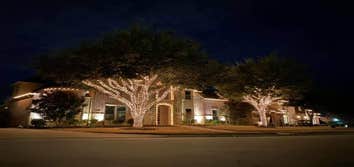 Christmas Lights Decoration