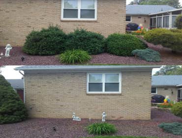 Photos by We Do Odd Jobs #1