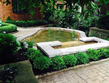 Photos by Aqualife Ponds #1