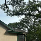 Photos by Naranjal Tree Service LLC #3