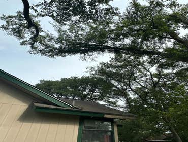 Photos by Naranjal Tree Service LLC #3