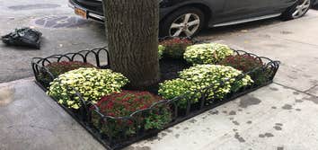 Photos by Nyc Tree Pit Services #1