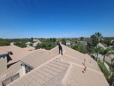 Photos by on Point Wildlife Removal #1