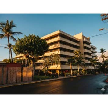 Big Island Painters