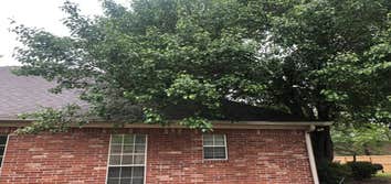 Photos by Dylan Tree Services LLC #2