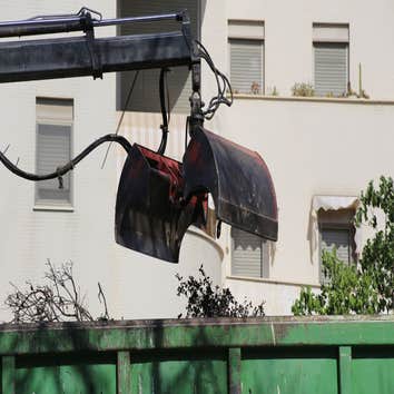 the Choice City Tree Service