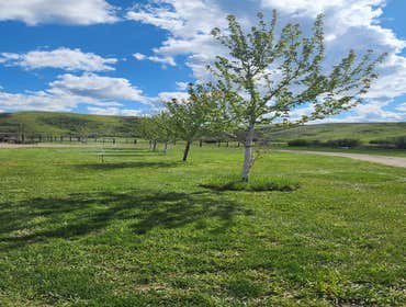 Photos by Doctor Lawn Landscape Management #1