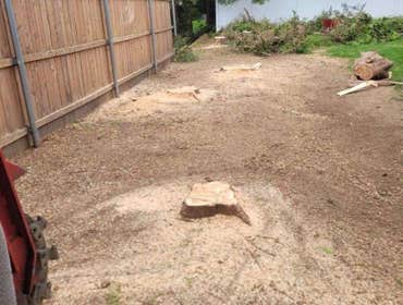 Photos by Superior Stump Grinding #1