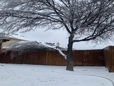 Photos by K-perez Tree Services #1