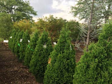 Photos by Makimanta Landscaping Services #1