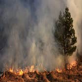 Photos by Healing Waters Smoke Damage Experts #1