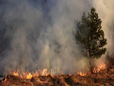 Photos by Healing Waters Smoke Damage Experts #1