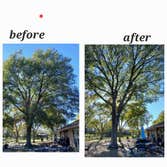 Photos by Neighbor Tree Service & More LLC #3
