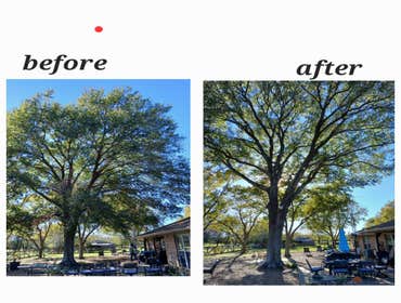 Photos by Neighbor Tree Service & More LLC #3