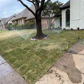 Plano Landscaping