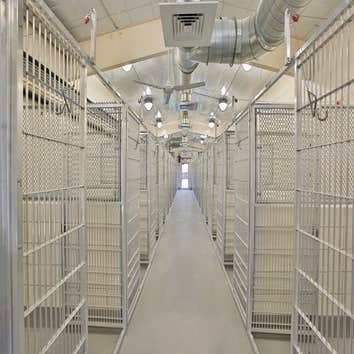 Animal Defense League Kennel Project
