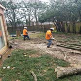 Photos by Upward Outdoor Tree Services #1