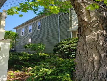 Photos by Foxrock Painting LLC #1