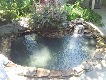 Koi Pond