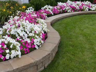 Photos by El Retiro Landscaping #1