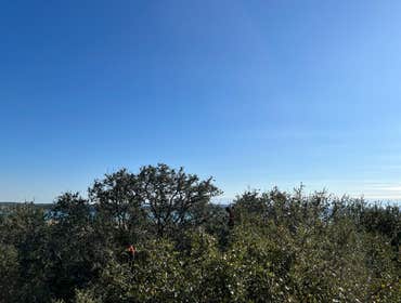 Photos by D.A. Martinez Tree Service #5