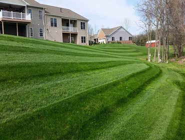 Photos by Amigos Lawn Care & Tree Service #1