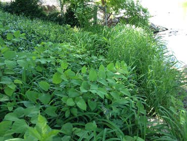 Schulers Lawn Care Project Some before and after pics and other work.