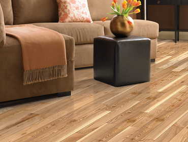 Works by Discount Carpet and M