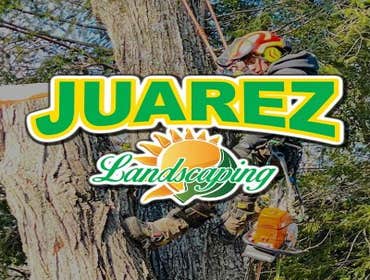 Photos by Juarez Landscaping #1