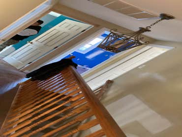 Photos by 7&7 Contractor LLC #1 Interior painting