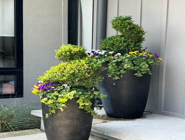 Photos by Hernandez ASSOC. Landscaping