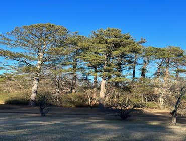 Photos by Carias Landscaping and Maintenance, LLC #5