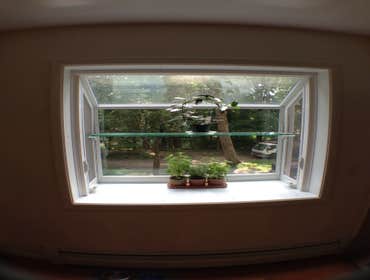 New garden window.