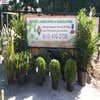 Montes Landscaping logo