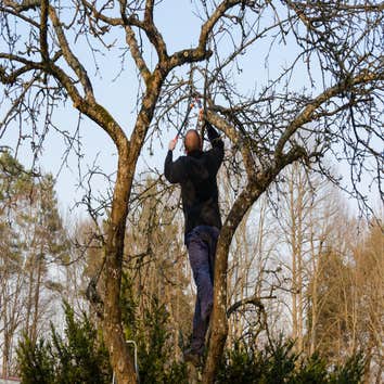 Photos by Top Tree Service Miami #1 tree service Miami , Miami tree service, tree service, tree service fl, fl tree service