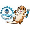 True Blue plumbing Services logo