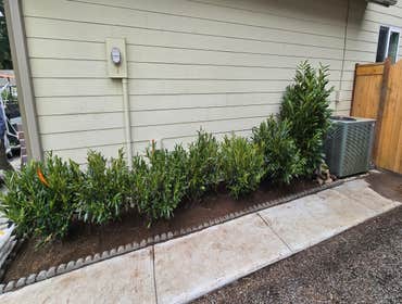 Photos by Mv Top Landscaper LLC #1