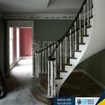 Fdp Mold Remediation | Mold Inspection Baltimore