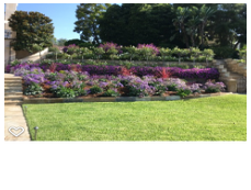 Photos by Foothill Nursery & Landscape Inc #1